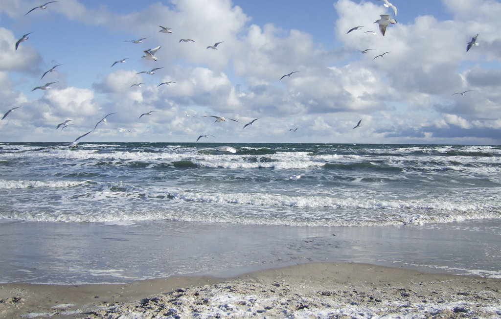 Semesterlägenhet - Hohen Wieschendorf , Tyskland - DMK558 25