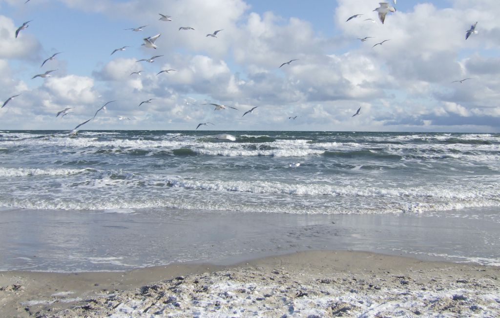 Ferieleilighet - Hohen Wieschendorf , Tyskland - DMK560 27