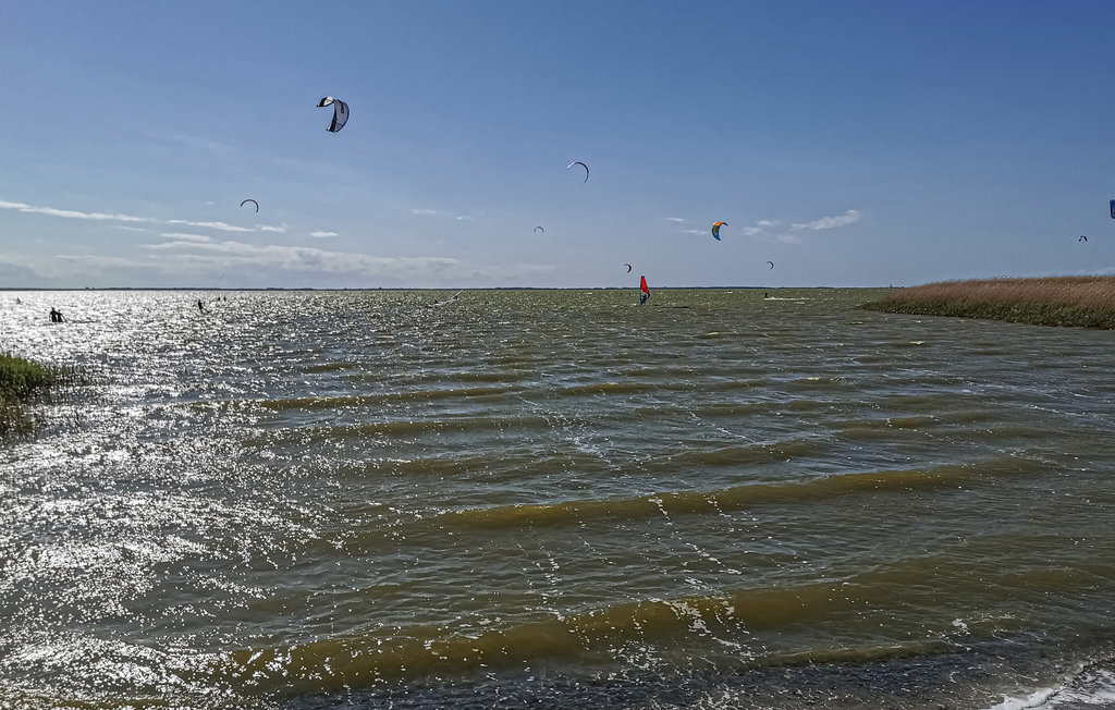 Ferienhaus - Langendamm , Deutschland - DMK769 15