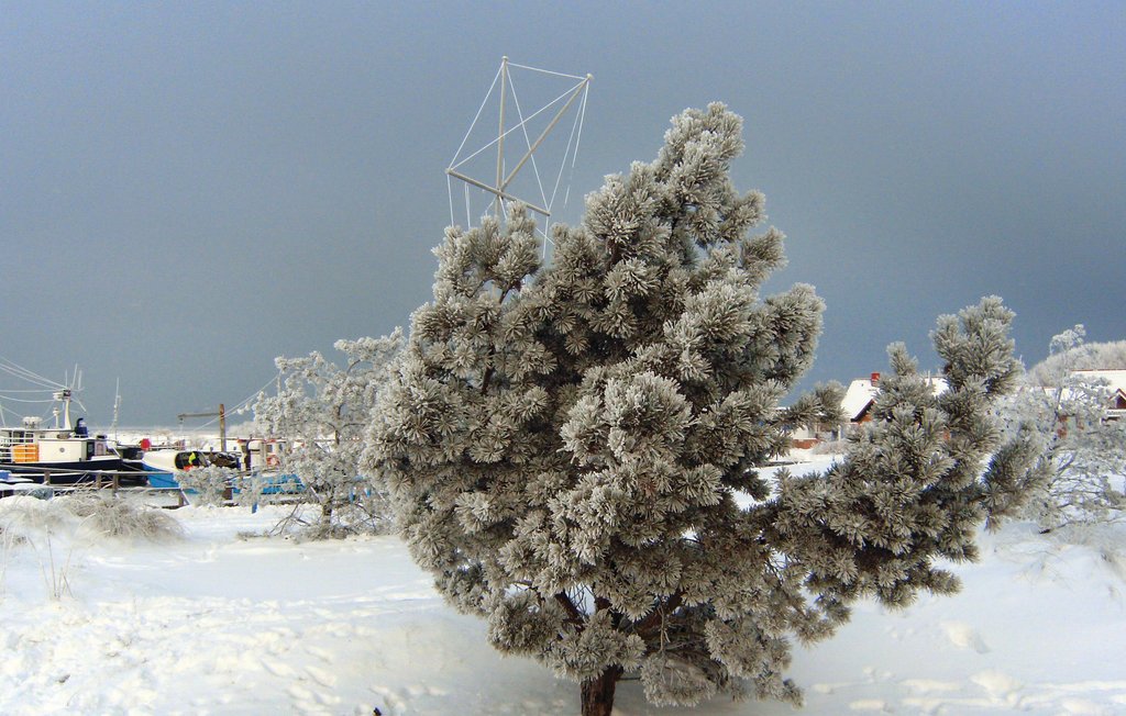 Ferieleilighet - Insel Poel/Gollwitz , Tyskland - DMK137 20