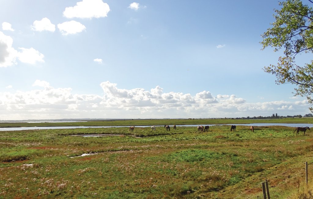 Ferieleilighet - Boiensdorf , Tyskland - DMK184 21