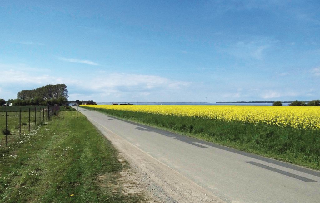 Ferieleilighet - Boiensdorf , Tyskland - DMK444 24