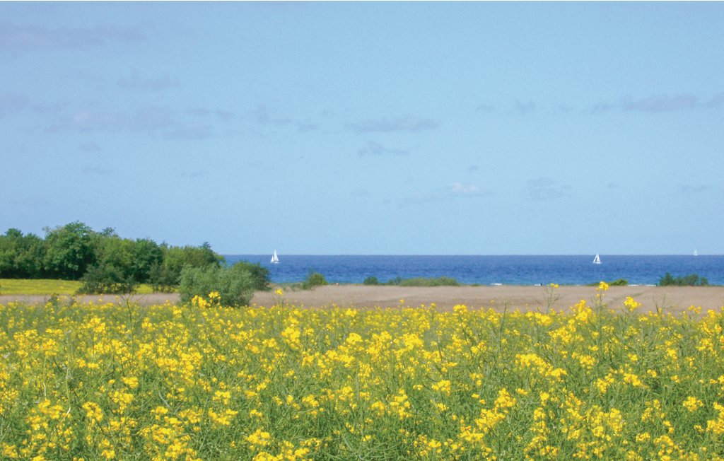 Ferieleilighet - Insel Poel , Tyskland - DMK668 20