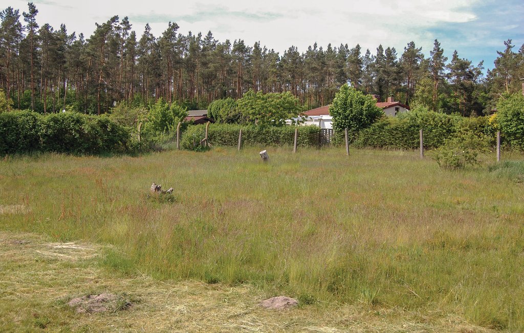 Semesterlägenhet - Rostock/Graal Müritz , Tyskland - DMK709 23