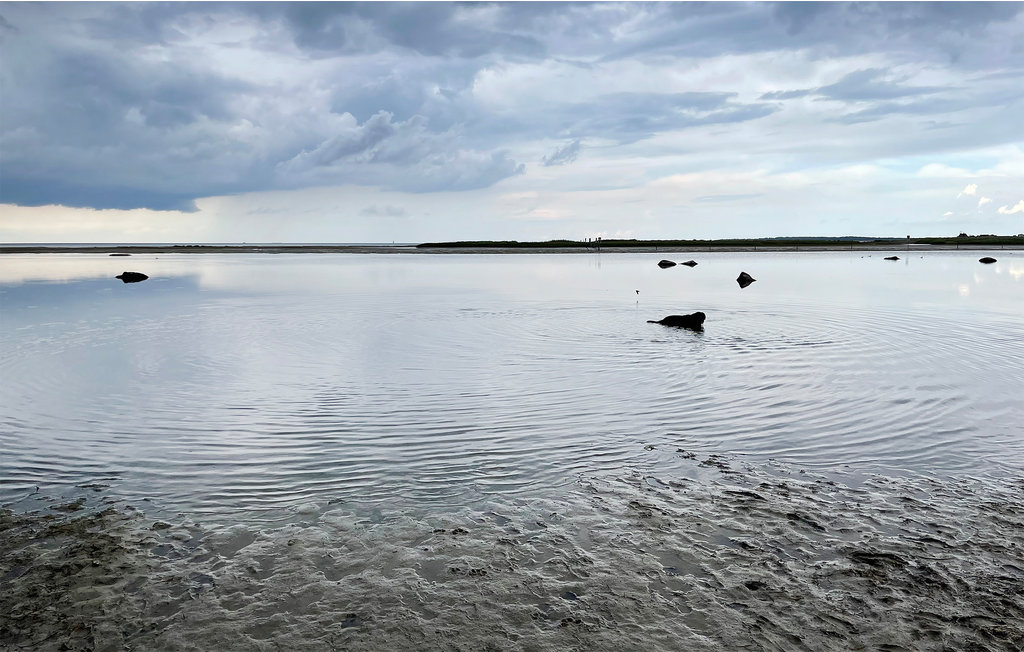 Semesterlägenhet - Insel Poel , Tyskland - DMK876 24