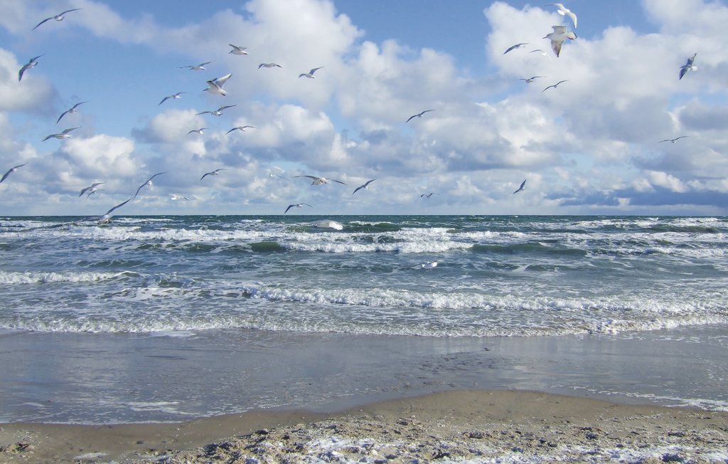 Feriehus - Zierow OT Poeler Drift , Tyskland - DMK100 35