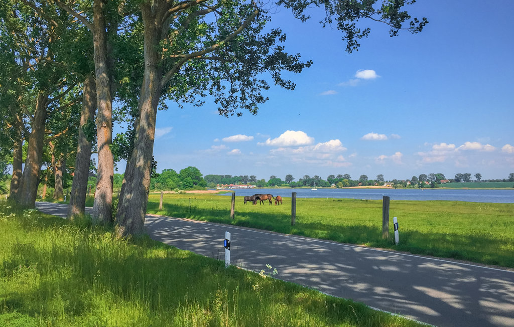 Ferieleilighet - Insel Poel/Gollwitz , Tyskland - DMK148 12