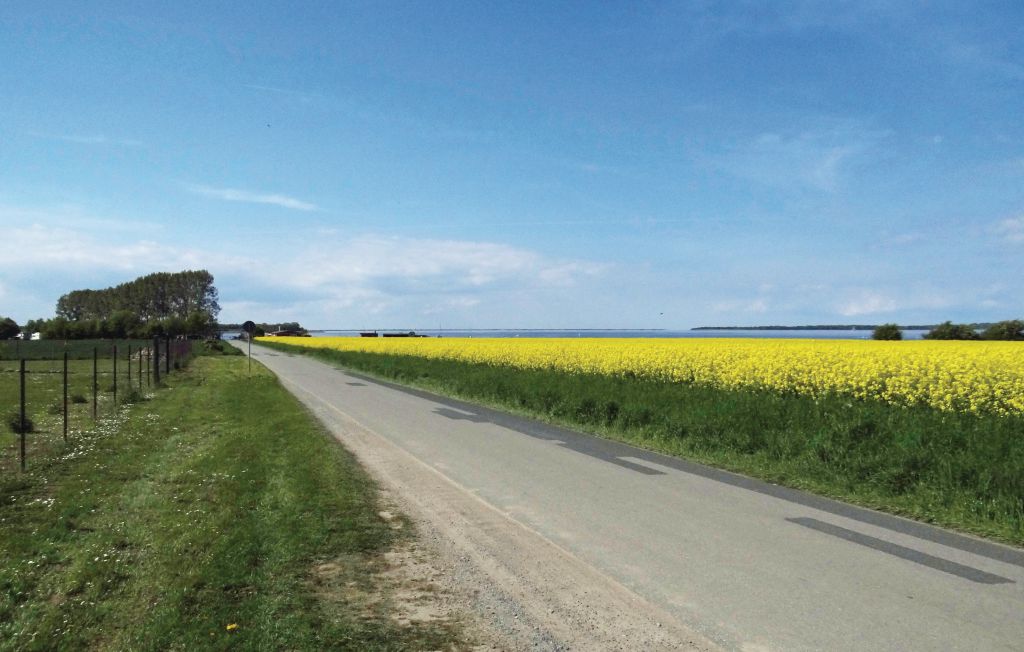 Ferieleilighet - Boiensdorf , Tyskland - DMK442 28