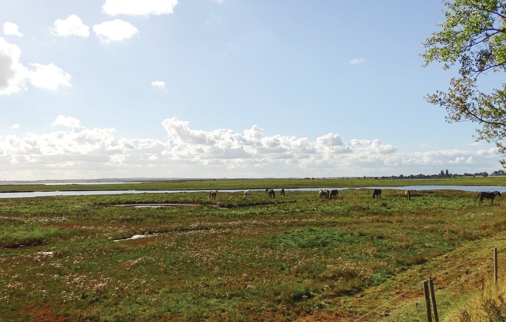 Ferieleilighet - Boiensdorf , Tyskland - DMK527 14