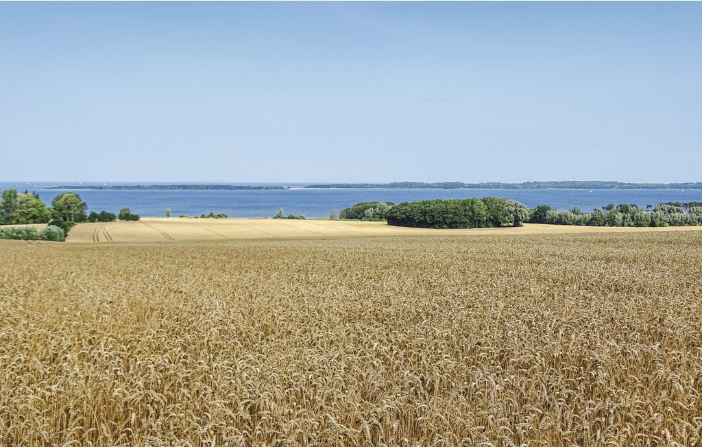 Ferieleilighet - Boiensdorf , Tyskland - DMK444 33