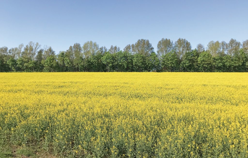 Ferienwohnung - Insel Poel/Gollwitz , Deutschland - DMK147 21