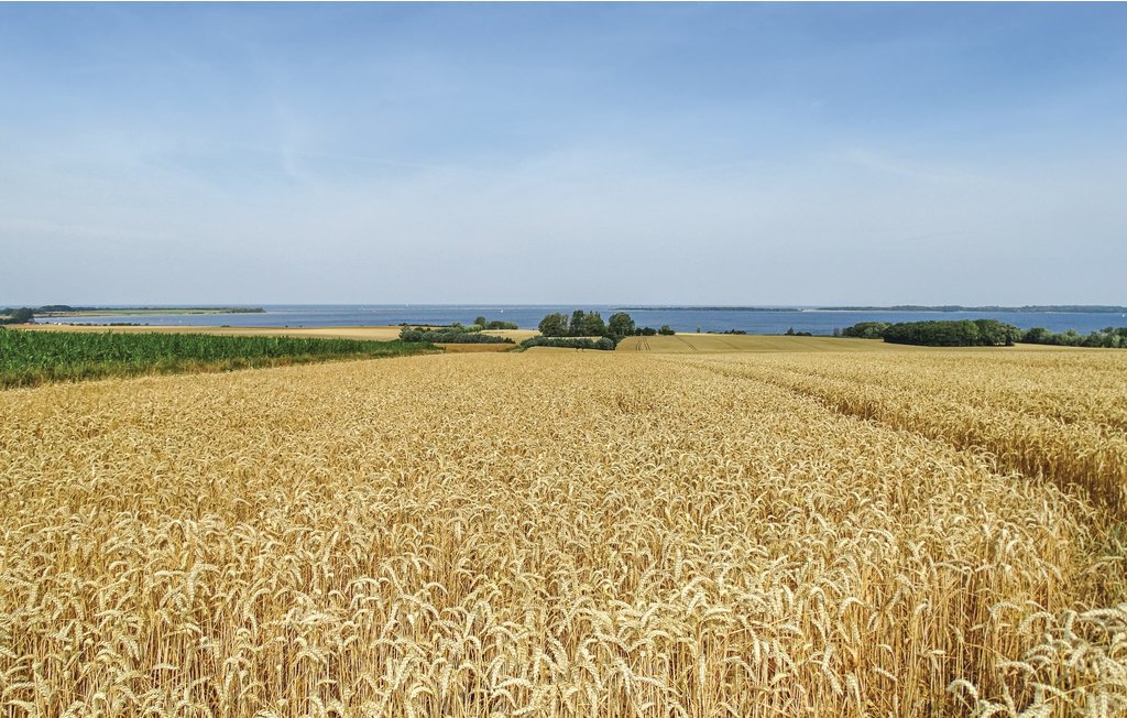 Ferienhaus - Boiensdorf , Deutschland - DMK597 26
