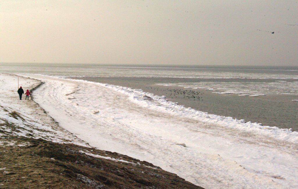 Ferieleilighet - Insel Poel/Gollwitz , Tyskland - DMK137 18