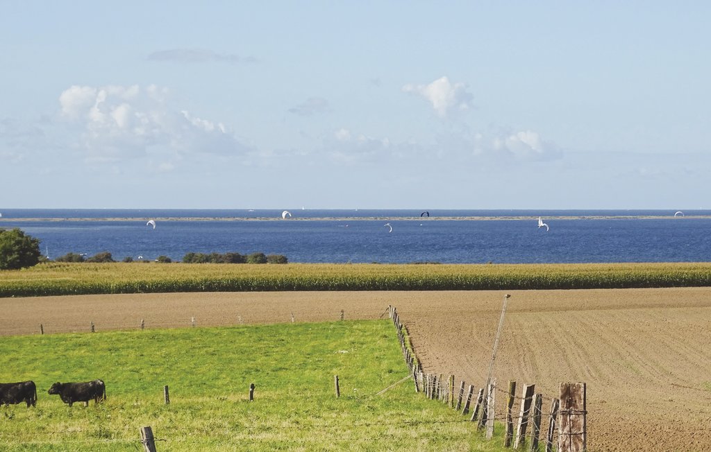 Ferieleilighet - Boiensdorf , Tyskland - DMK526 12