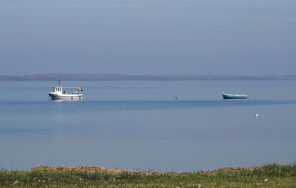 Ferieleilighet - Boiensdorf , Tyskland - DMK530 8