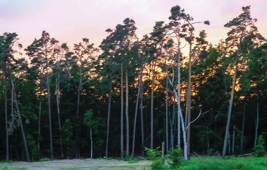 Ferieleilighet - Graal-Müritz , Tyskland - DMK720 19