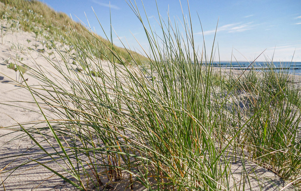 Ferieleilighet - Graal-Müritz , Tyskland - DMK720 23