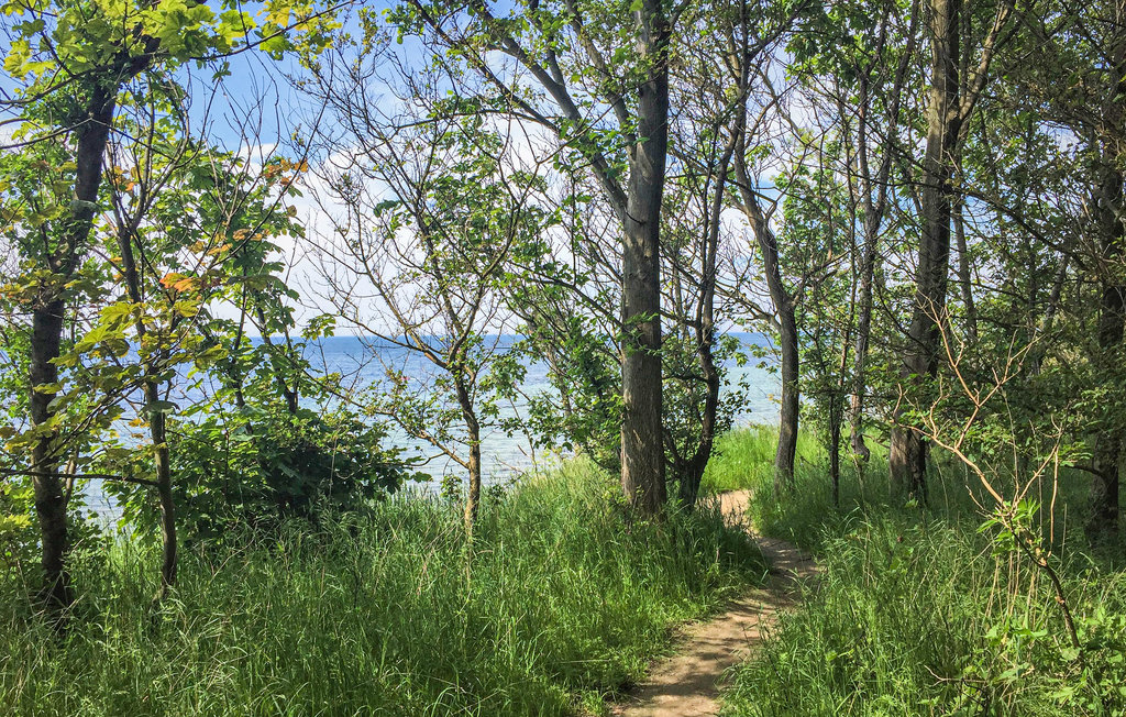 Ferienwohnung - Insel Poel/Gollwitz , Deutschland - DMK432 13