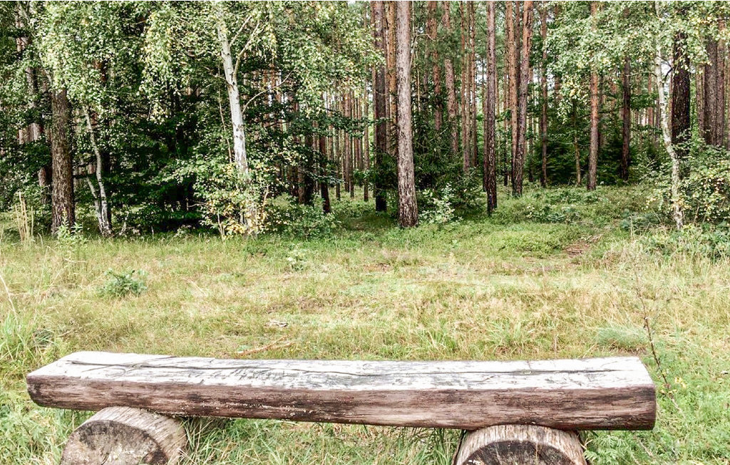 Ferieleilighet - Graal-Müritz , Tyskland - DMK656 20