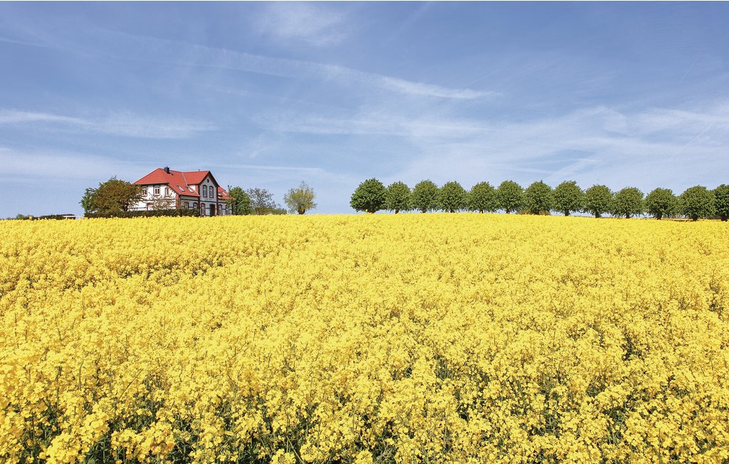 Ferieleilighet - Insel Poel , Tyskland - DMK668 19