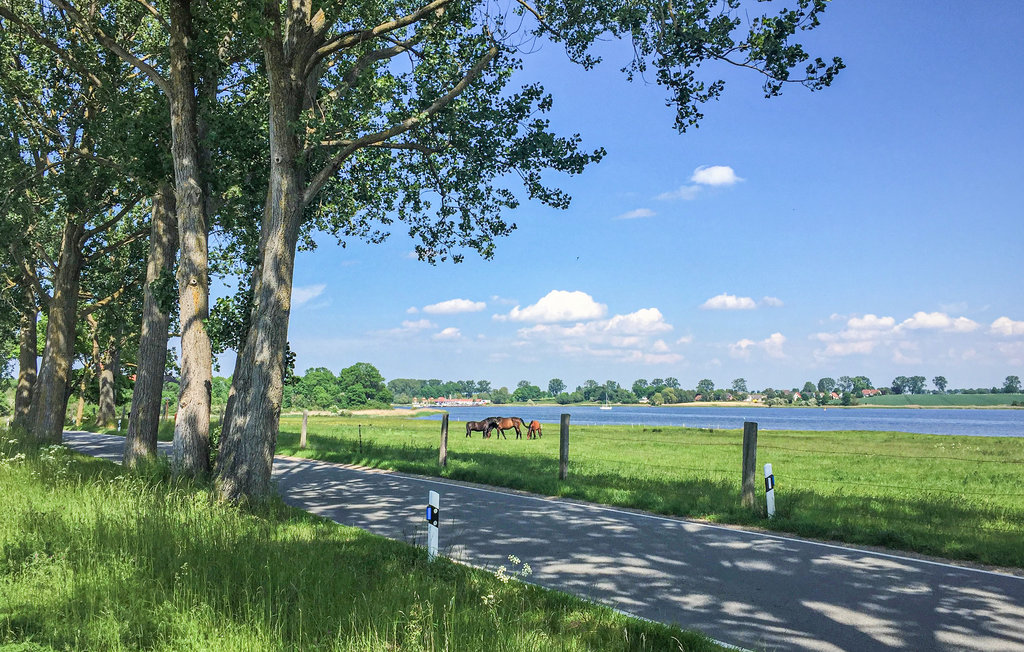 Ferienwohnung - Insel Poel/Gollwitz , Deutschland - DMK147 7