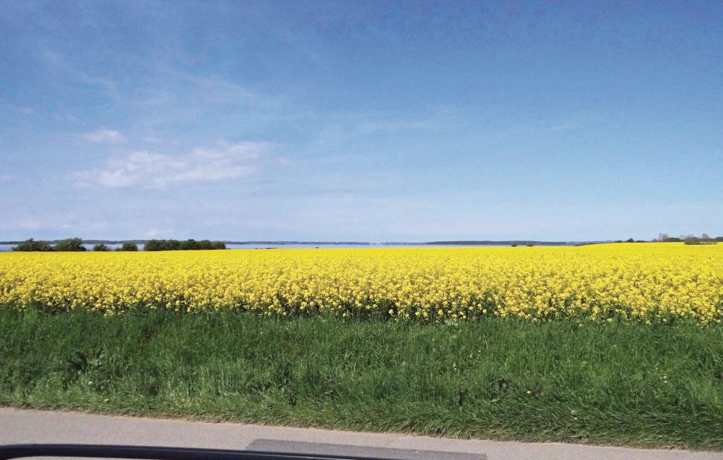 Ferieleilighet - Boiensdorf , Tyskland - DMK443 21