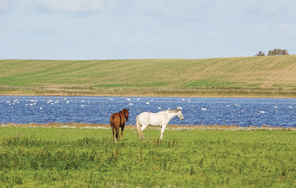 Lejlighed - Boiensdorf , Tyskland - DMK528 19