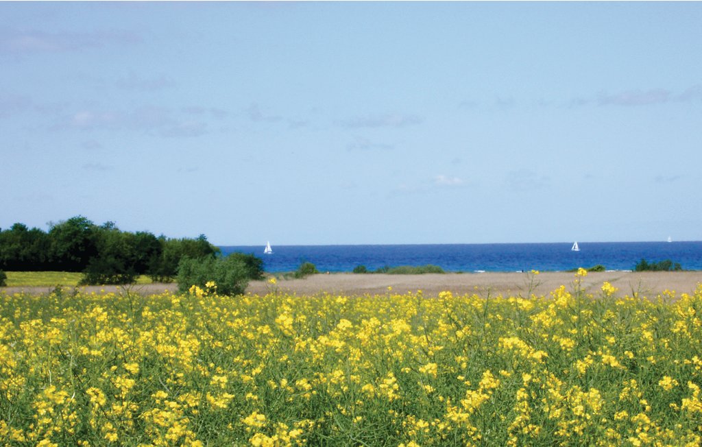 Semesterhus - Insel Poel , Tyskland - DMK675 14