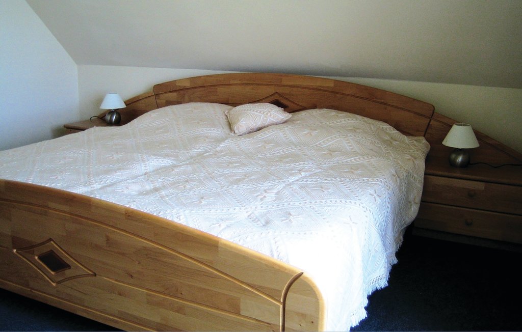 Ferienhaus - Saal , Deutschland - DMK179 17