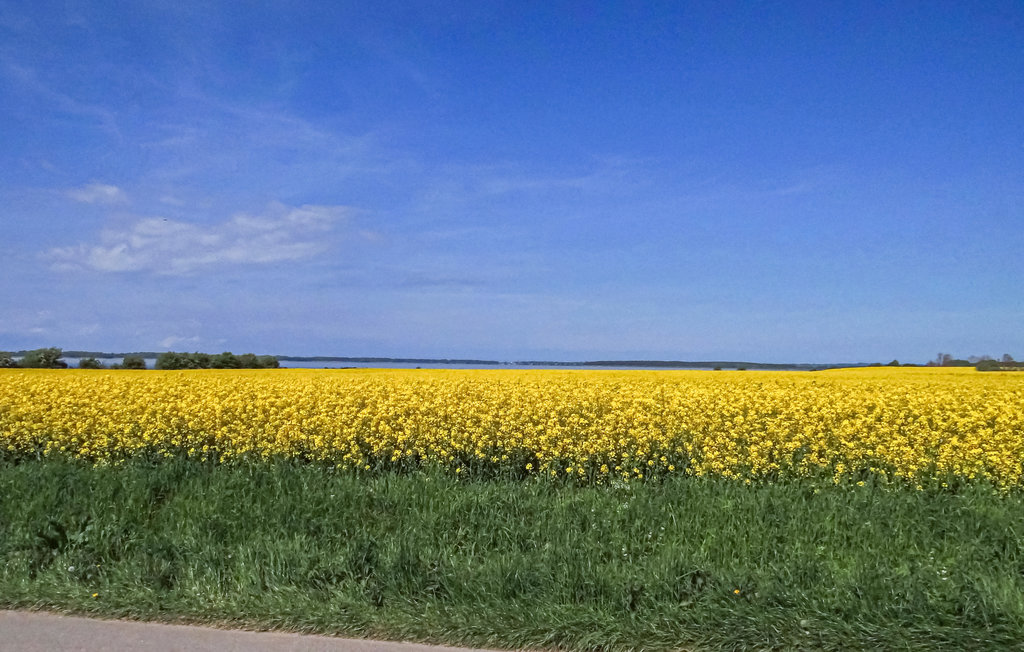Feriehus - Boiensdorf , Tyskland - DMK771 32