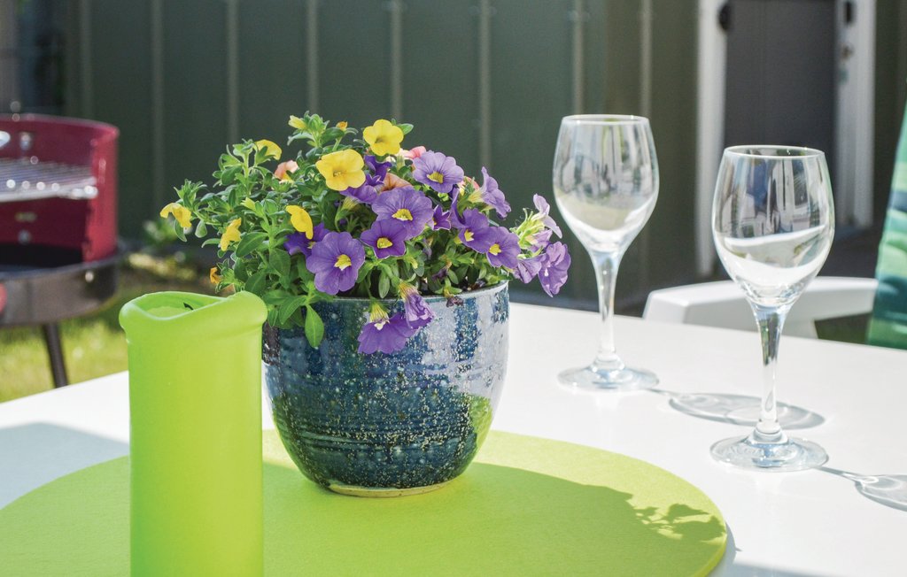 Ferienhaus - Hohen Wieschendorf , Deutschland - DMK230 7