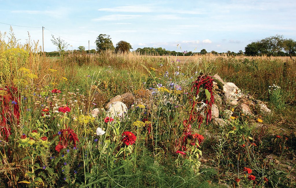 Feriehus - Ribnitz-Damgarten/Beiershagen , Tyskland - DMK170 2