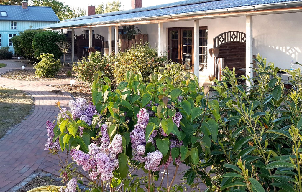 Ferienhaus - Fuhlendorf , Deutschland - DMK272 1