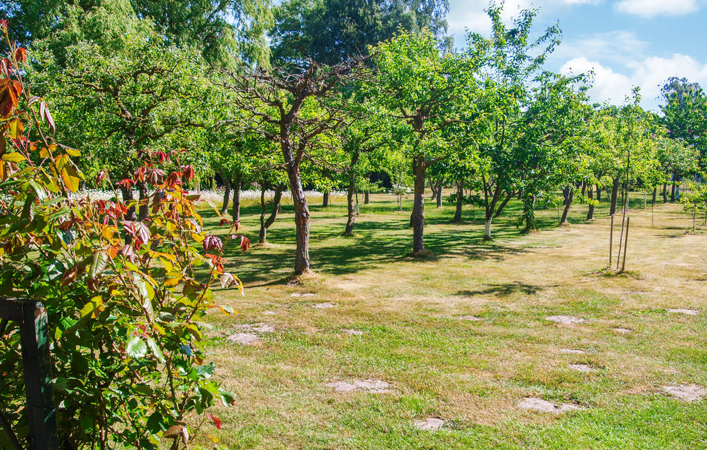 Feriehuse - Frätow , Tyskland - DMK349 13