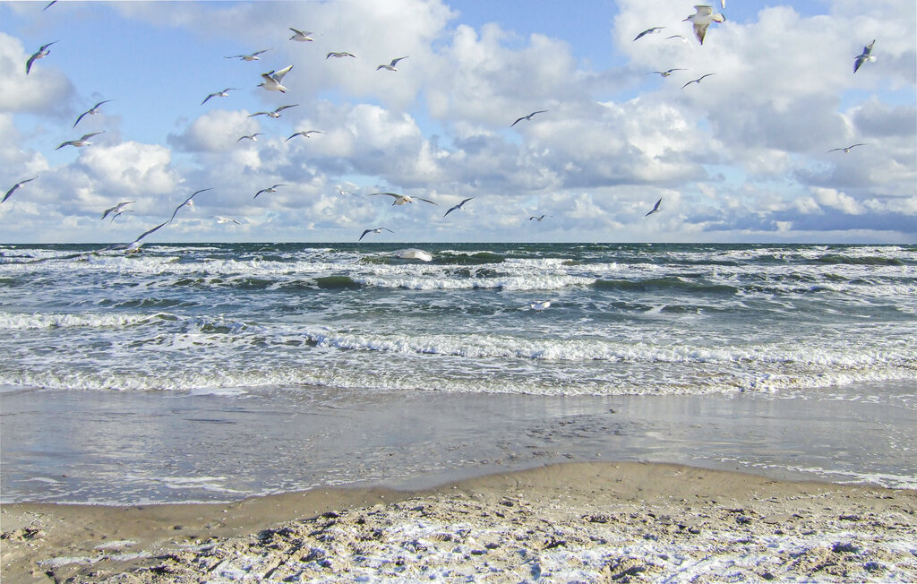 Feriehus - Trams am See , Tyskland - DMK795 45