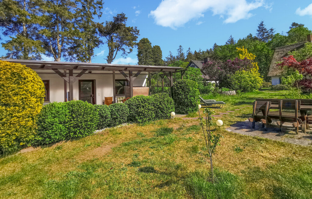 Ferienhaus - Langendamm , Deutschland - DMK769 1