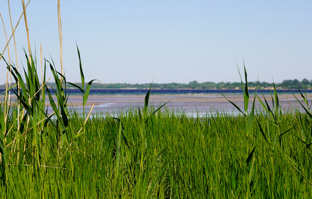 Feriehus - Klütz OT Wohlenberg , Tyskland - DMK888 41