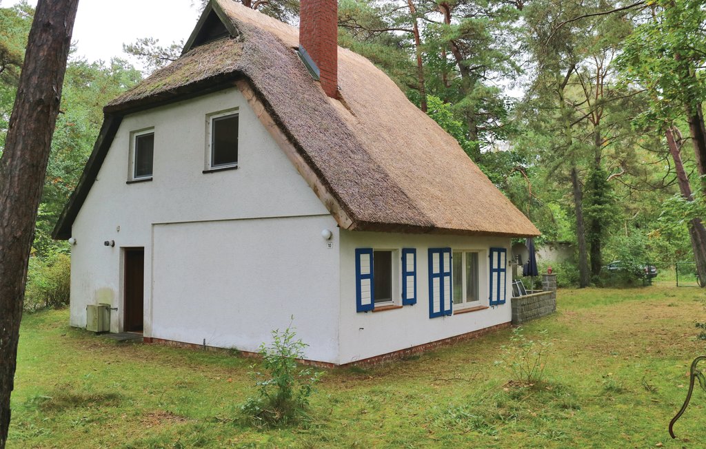 Bild 5 Bild 5