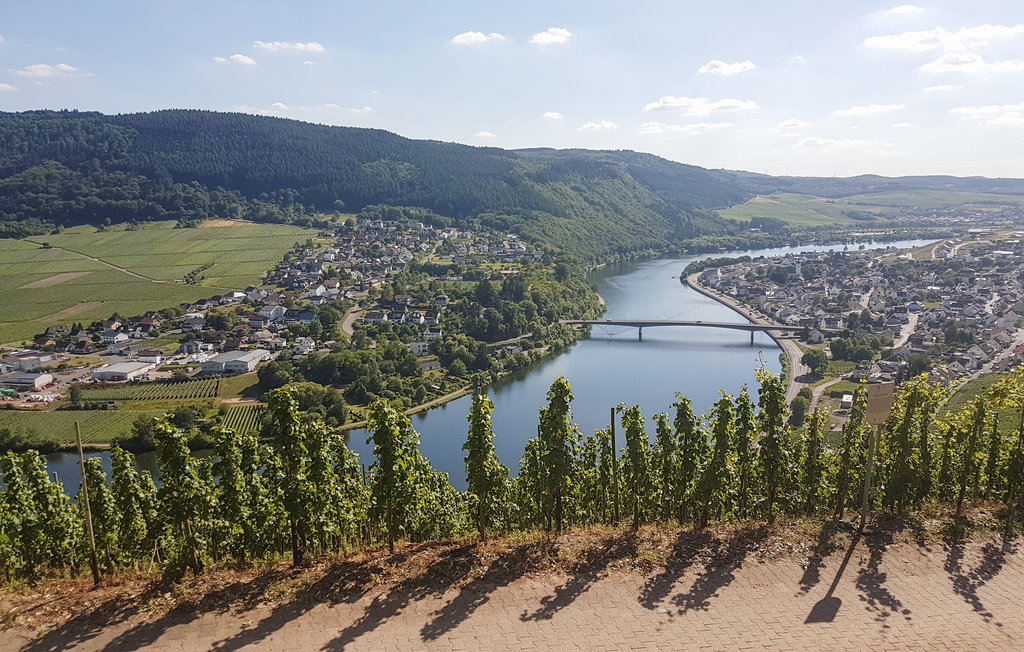 Lejlighed - Trier , Tyskland - DMO148 29