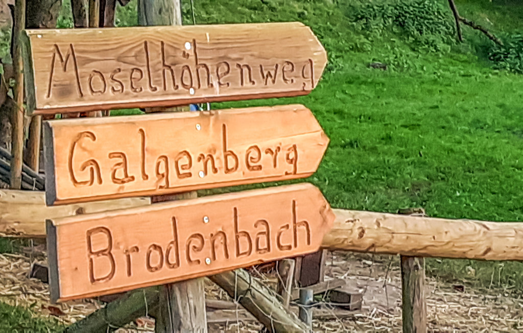 Semesterlägenhet - Panoramaaussicht in Burgen , Tyskland - DMO130 21