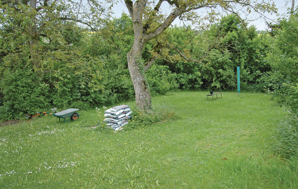 Semesterlägenhet - Trierweiler , Tyskland - DMO902 8