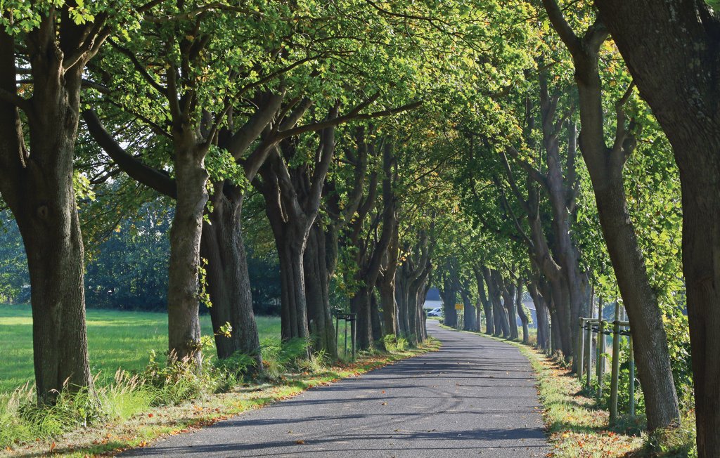 Feriehus - Altefähr/Rügen , Tyskland - DMR634 28