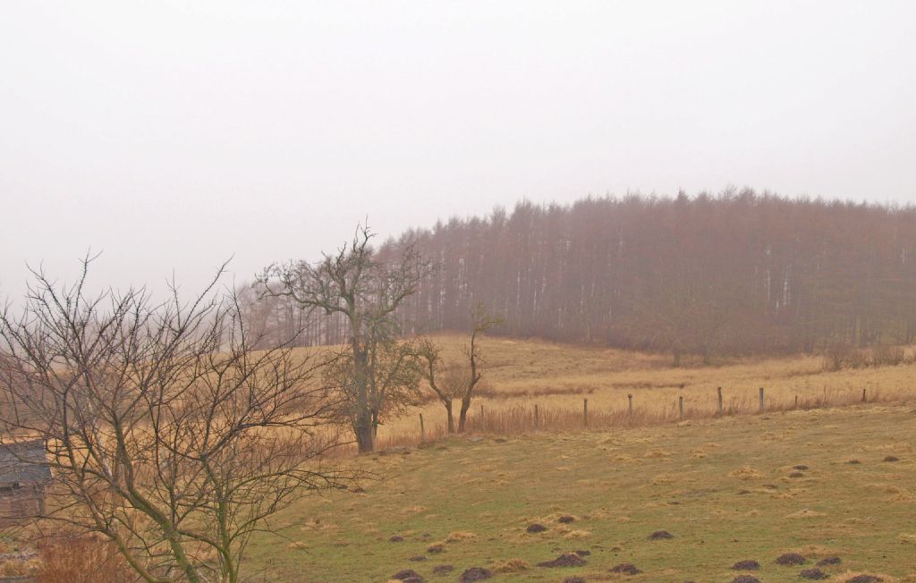 Feriehus - Sassnitz , Tyskland - DMR295 29