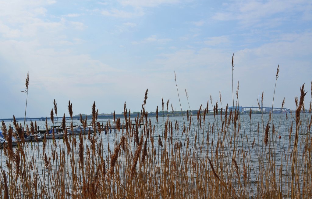 Feriehus - Altefähr/Rügen , Tyskland - DMR603 24