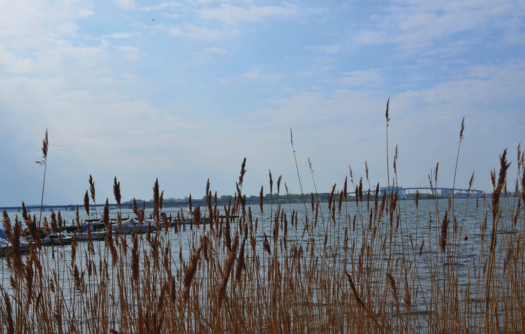 Feriehus - Altefähr/Rügen , Tyskland - DMR604 33