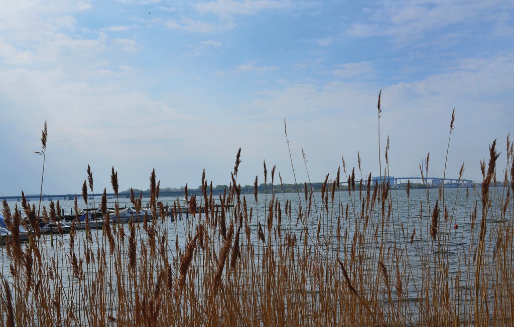Feriehus - Altefähr/Rügen , Tyskland - DMR605 30