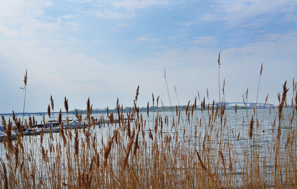 Ferienhaus - Altefähr/Rügen , Deutschland - DMR618 31