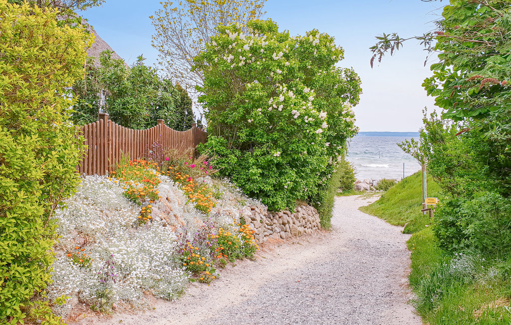 Feriehus - Breege/Juliusruh , Tyskland - DMR252 26