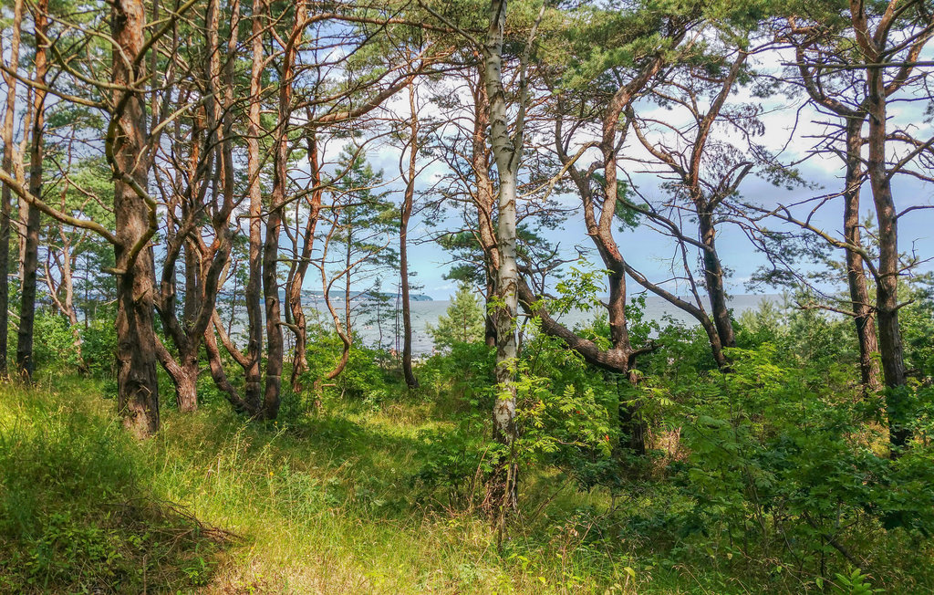 Semesterlägenhet - Ostseebad Binz/ Prora , Tyskland - DMR446 26