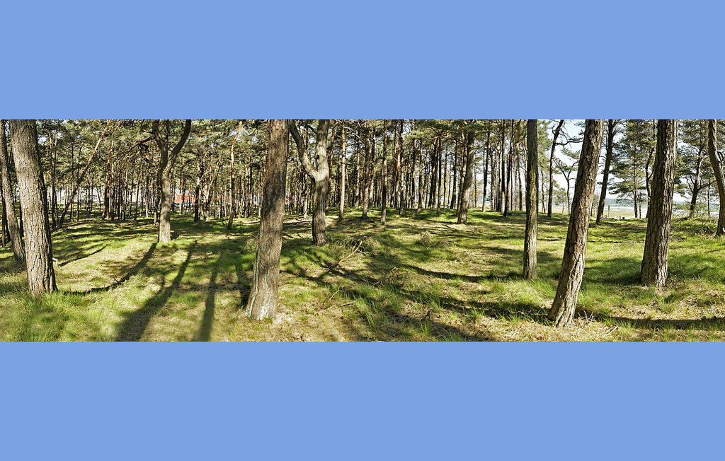 Feriehuse - Strandpark Ostseebad Baabe , Tyskland - DMR254 16